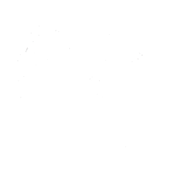 globe-icon-white