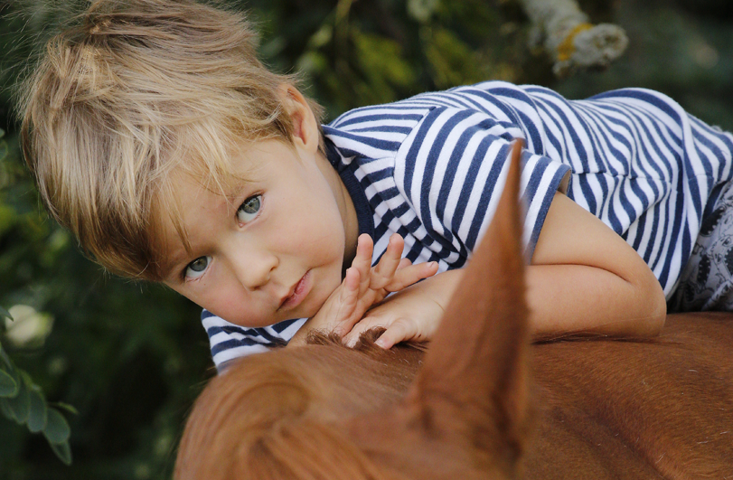 siblings blonde-haired child on a chestnut pony